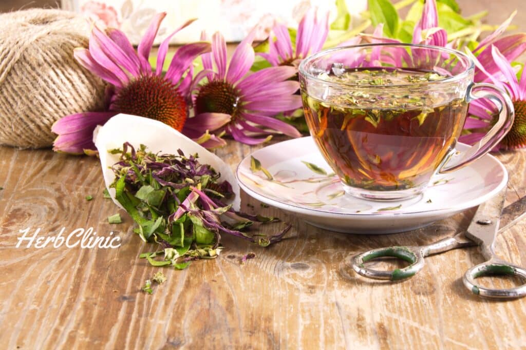 Immunerősítés_HerbClinic