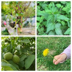 Tavaszi tisztítókúra