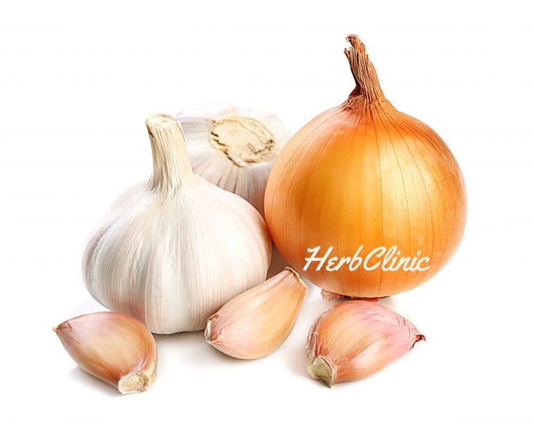 A csodatévő hagymák