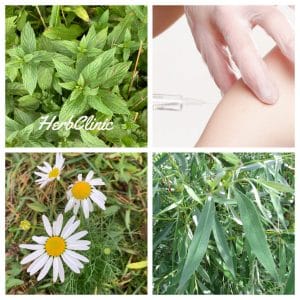 koronavírus oltás mellékhatásainak kezelése