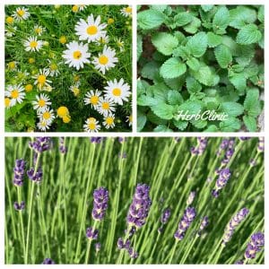 Nyugtató tea szoptatós anyának