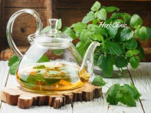 Citromfű-HerbClinic