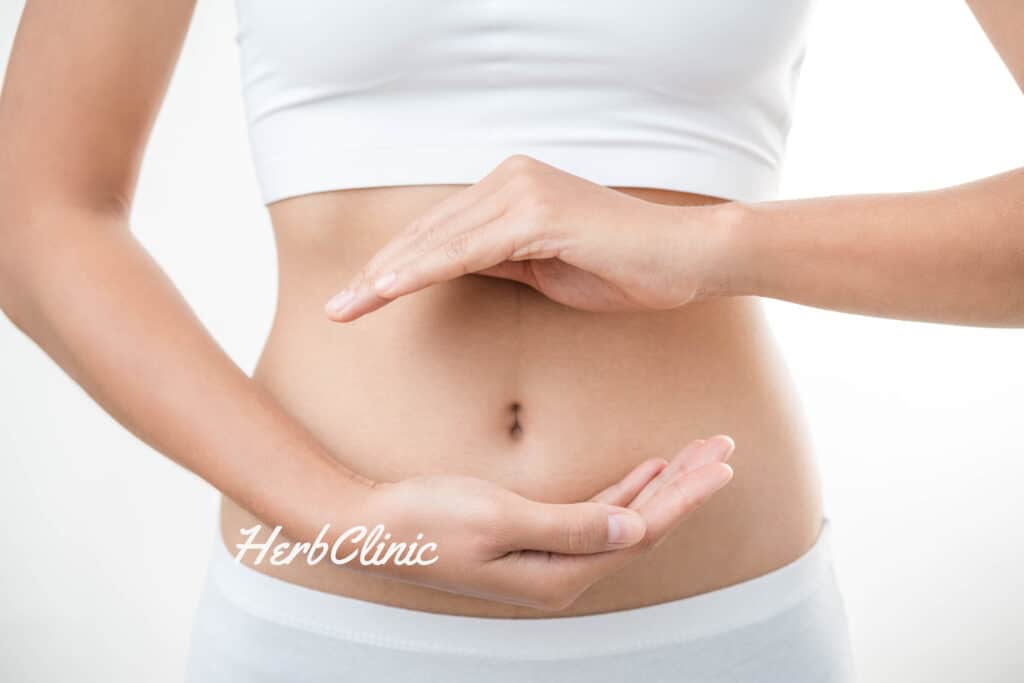 emésztőrendszer védelme_HerbClinic