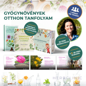 Gyógynövények otthon tanfolyam