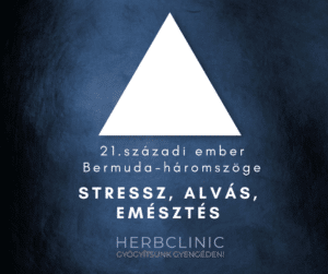 21.századi ember Bermuda-háromszöge