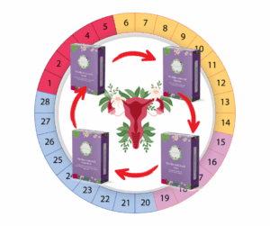 Női Ciklus térkép_HerbClinic